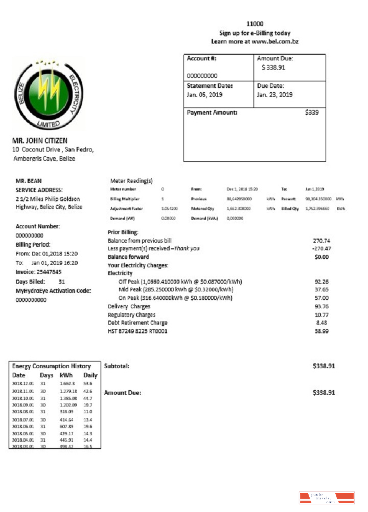 Belize Electricity Limited electricity utility bill template in Word and PDF format